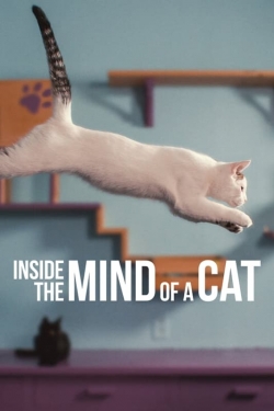 Inside the Mind of a Cat-hd