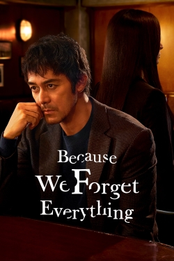 Because We Forget Everything-hd