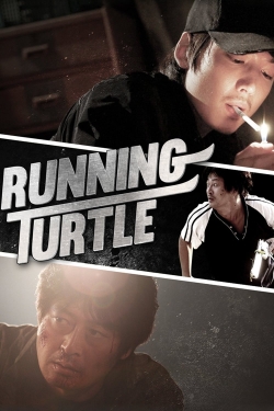 Running Turtle-hd