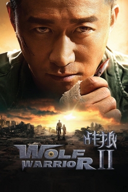 Wolf Warrior 2-hd