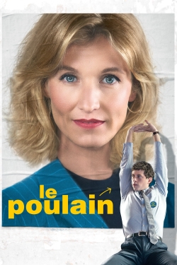 Le Poulain-hd