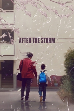 After the Storm-hd