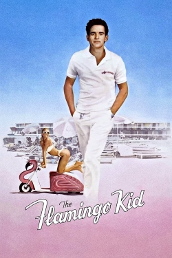The Flamingo Kid-hd
