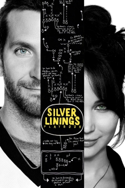 Silver Linings Playbook-hd