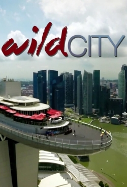 Wild City-hd