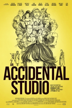An Accidental Studio-hd