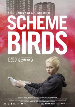 Scheme Birds-hd