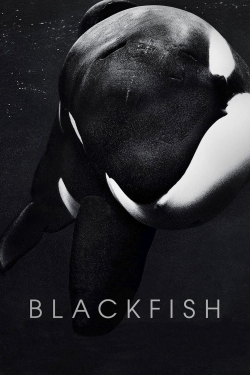 Blackfish-hd