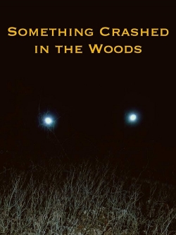 Something Crashed in the Woods-hd