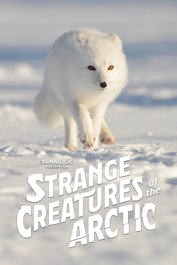 Strange Creatures of the Arctic-hd