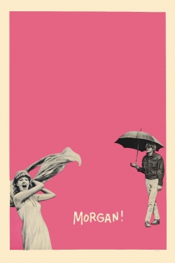 Morgan: A Suitable Case for Treatment-hd