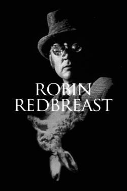Robin Redbreast-hd