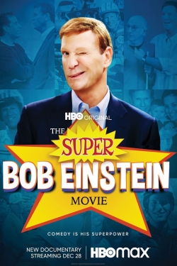 The Super Bob Einstein Movie-hd