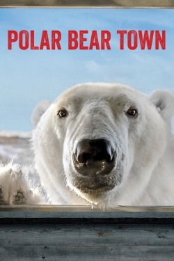 Polar Bear Town-hd