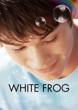 White Frog-hd